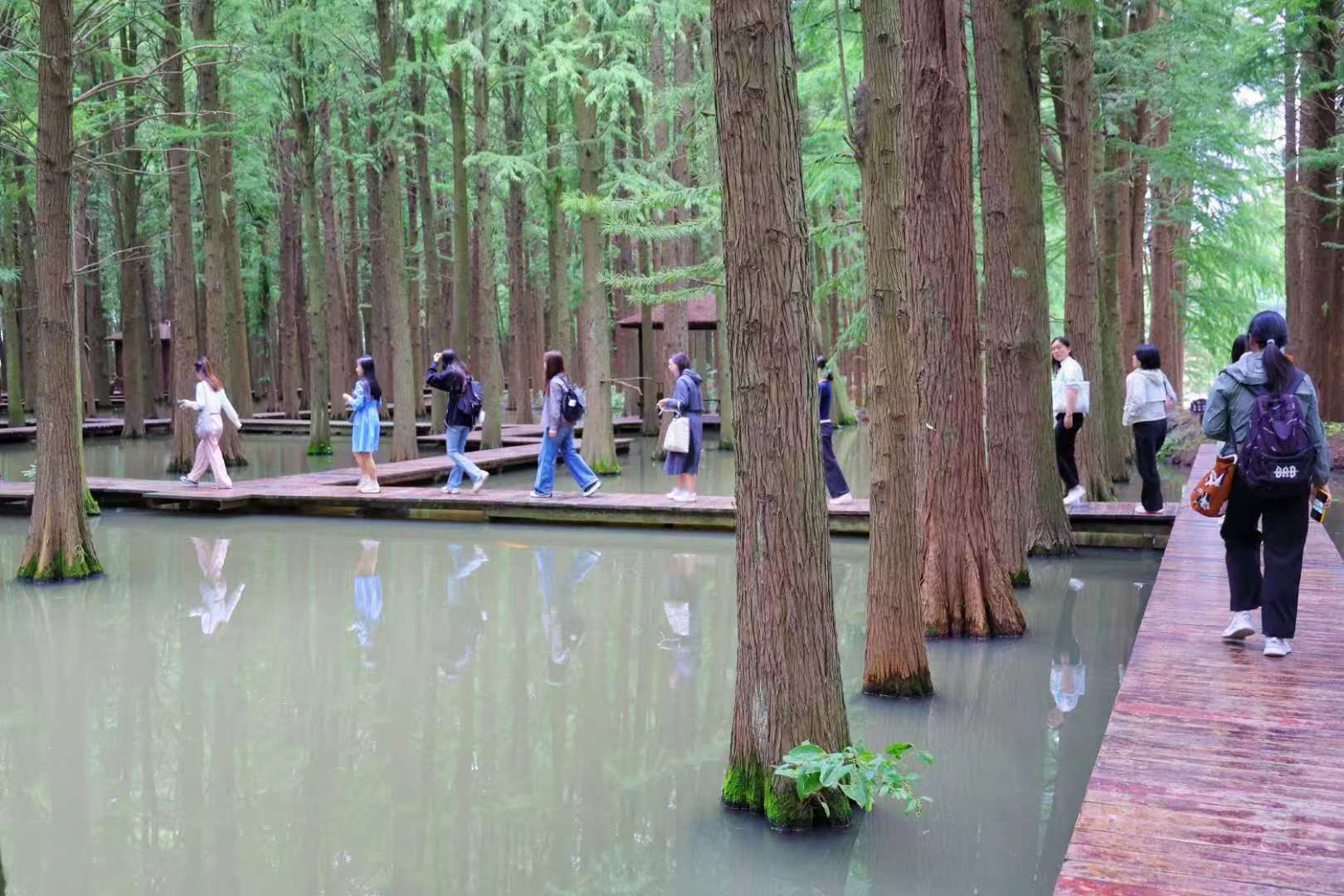 李中水上森林景区
